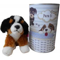 Perro peluche Bernese de 22 cm en lata con abre fácil