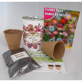 Kit de cultivo flores ramos en seco para detalles