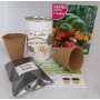 Kit de cultivo Cactus para detalles originales