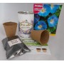 Kit de cultivo Ipomea para regalos invitados