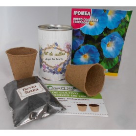 Kit de cultivo Ipomea para regalos invitados