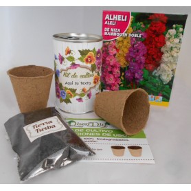 Kit de cultivo Alheli para detalles invitados originales