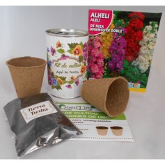 Kit de cultivo Alheli para detalles invitados originales