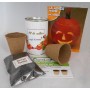 Kit de cultivo Calabaza HALLOWEEN para detalle original de boda