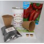 Kit de cultivo Pimiento para regalos invitados originales