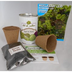 Kit de cultivo Lechuga Mezcla Baby Leaf para detalles