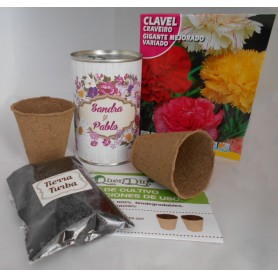 Kit de cultivo Clavel un detalle para tus invitados