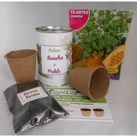 Kit de cultivo Cilantro para detalles invitados