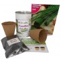 Kit de cultivo Cebollino para detalles originales