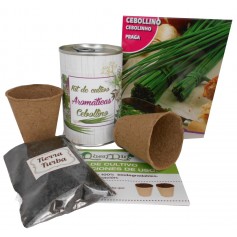 Kit de cultivo Cebollino para detalles originales