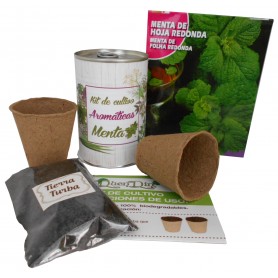 Kit de cultivo Menta para detalles originales invitados