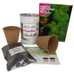 Kit de cultivo Menta para detalles originales invitados