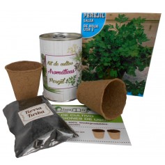 Kit de cultivo Perejil original detalle para tus invitados