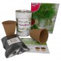 Kit de cultivo Eneldo un detall original para tus invitados