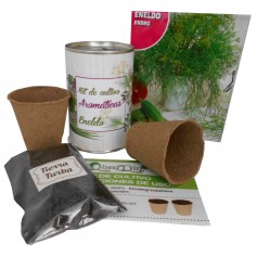 Kit de cultivo Eneldo un detall original para tus invitados