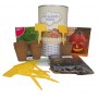 Kit de huerto infantil con semilleros, tierra turba, semillas Eneldo, semillas Calabaza y marcaje de semilleros