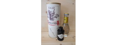 Botellines miniaturas Gin Tonic en lata
